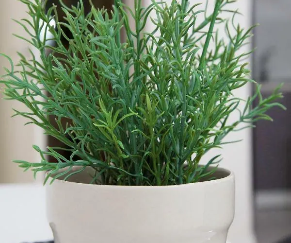 Victoria شقة دوبروفينك