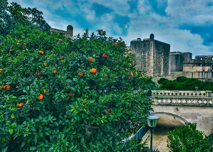 Victoria * دوبروفينك